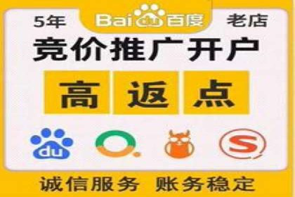 某知名企业竞价推广策略全解析